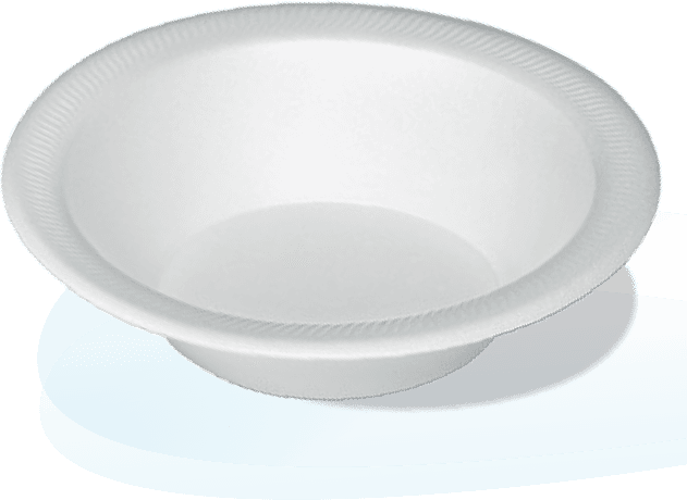 Disposable Foam Plates, Bowls, & Trays